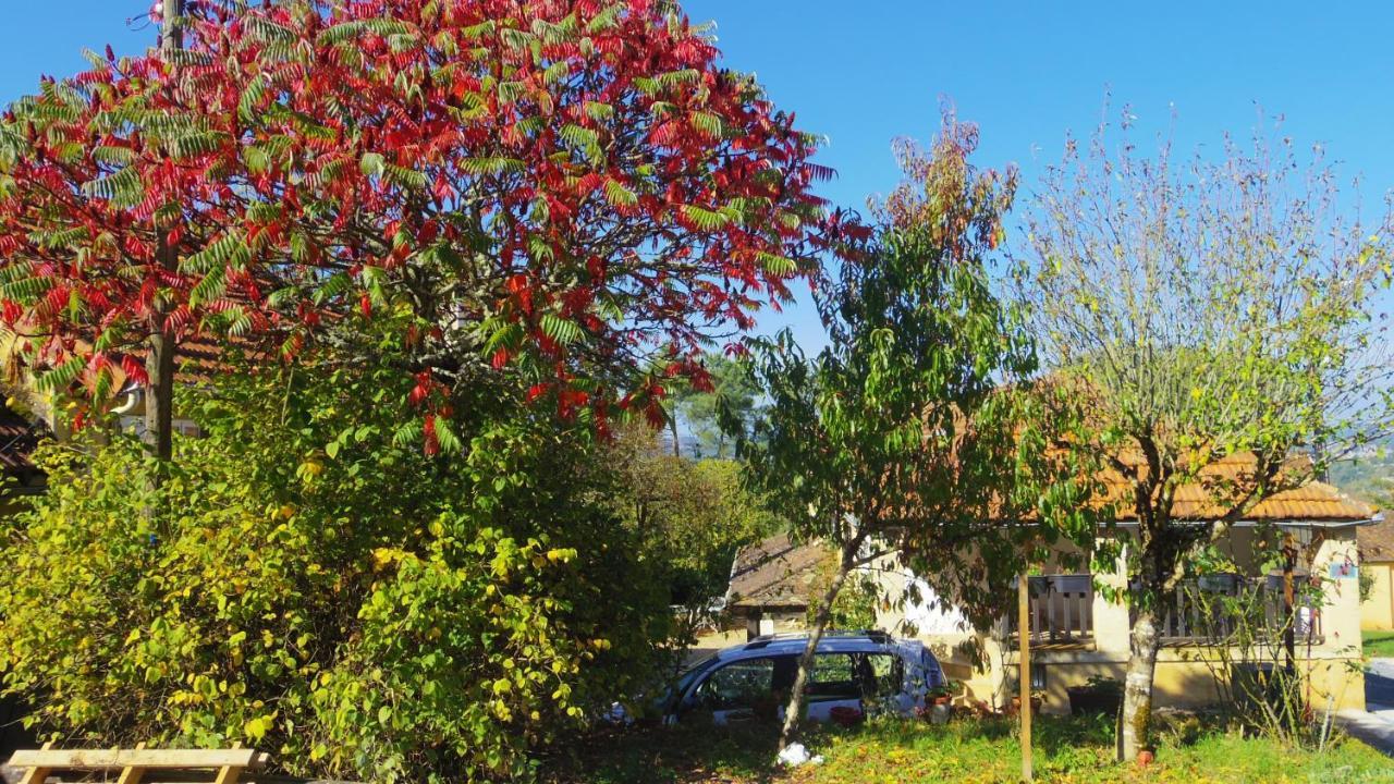 Zen Bed & Breakfast Domme Bagian luar foto